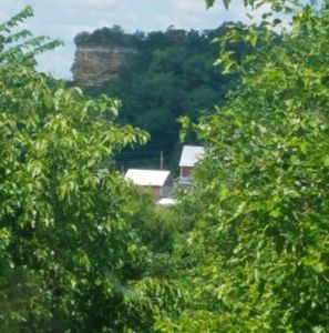 Meet your Posher, Kris